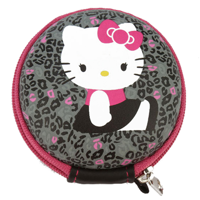 Earphone Case